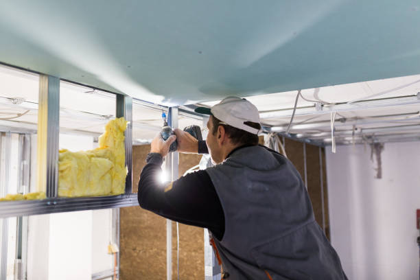 Best Fiberglass Insulation in Blountsville, AL